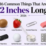 16-common-things-that-are-2-inches-long