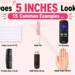 what-does-5-inches-look-like-15-common-examples