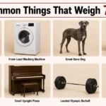 10-common-things-that-weigh-70-kg