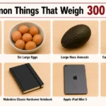 11-common-things-that-weigh-300-grams