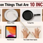 12-common-things-that-are-10-inches-long