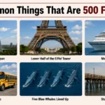 13-common-things-that-are-500-feet-long