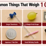 14-common-things-that-weigh-1-gram