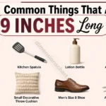 16-common-things-that-are-9-inches-long