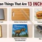 17-common-things-that-are-13-inches-long