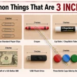 17-common-things-that-are-3-inches-long