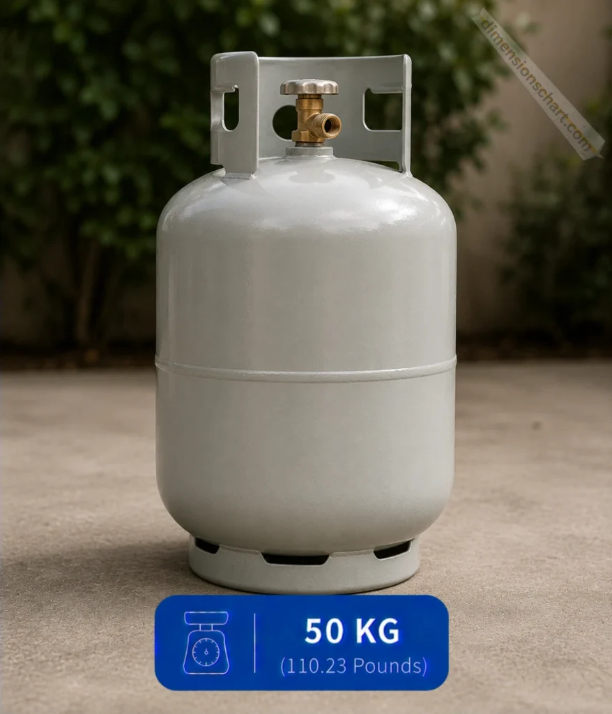 large-filled-propane-gas-cylinder