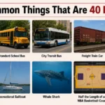 14-common-things-that-are-40-feet-long